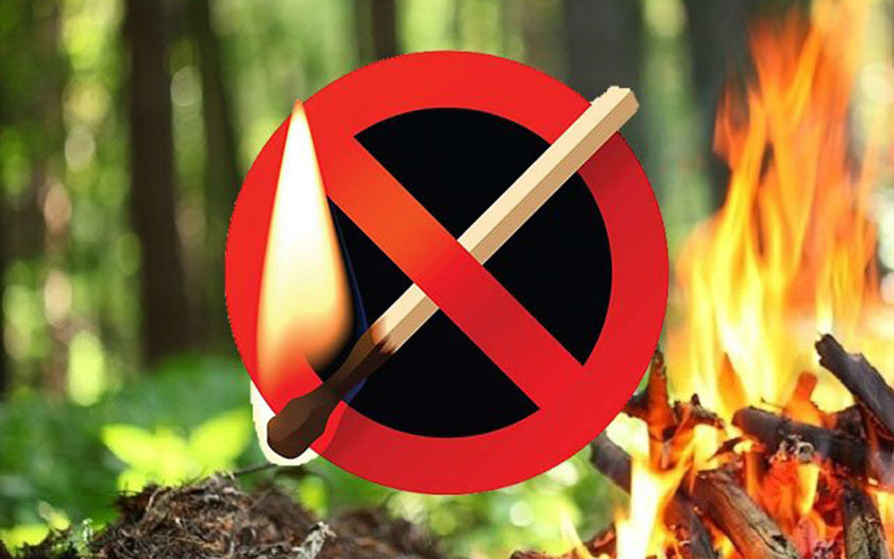 Запрещается разведение костров. Противопожарный режим в лесу. Перечеркнутая спичка. Высокая пожарная опасность в лесах. Костры в лесу запрещены.